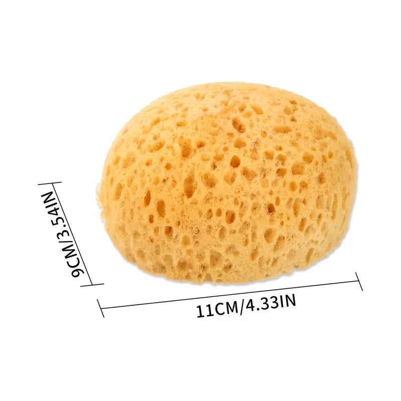 Fra Fra’s Naturals NEW Version of the Large Bath and Shower Sea Sponge
