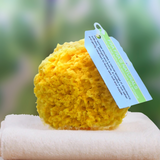 Fra Fra’s Naturals Version of the Large Bath and Shower Sea Sponge