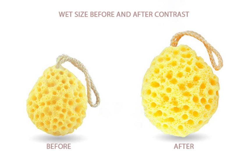 Fra Fra’s Naturals Version of the Large Bath and Shower Coral Sponge