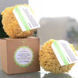 Fra Fra’s Naturals Version of the Large Bath and Shower Sea Sponge