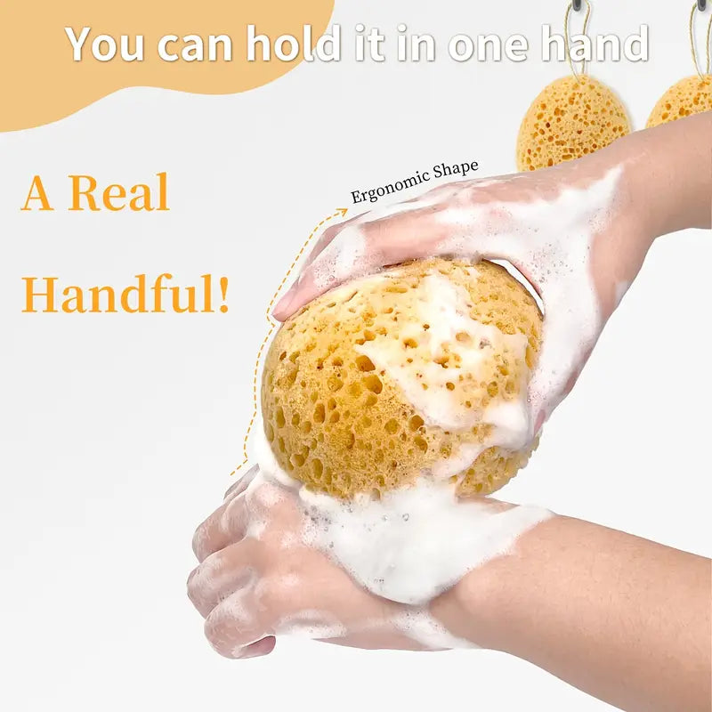 Fra Fra’s Naturals NEW Version of the Large Bath and Shower Sea Sponge