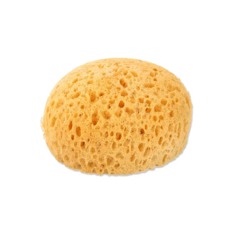 Fra Fra’s Naturals NEW Version of the Large Bath and Shower Sea Sponge