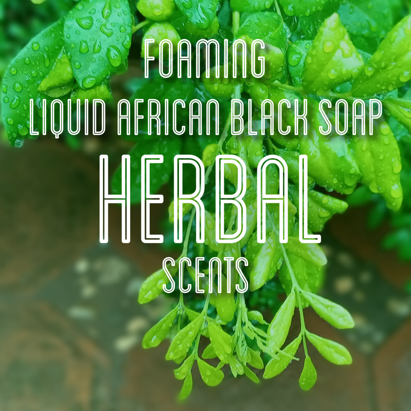 Fra Fra's Naturals | Premium Organic Raw Foaming African Black Soap Face and Body Wash - Herbal Scents